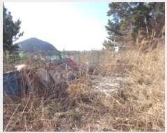  2025Ÿ308 泲 ¾ȱ  ׸ 2262-5      ()