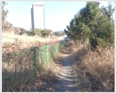  2025Ÿ308 泲 ¾ȱ  ׸ 2262-5      ()