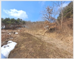  2025Ÿ421 泲  ҵ 257       ()