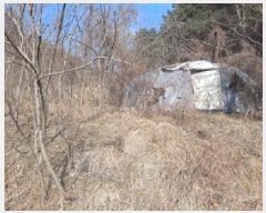  2025Ÿ421 泲  ҵ 257       ()