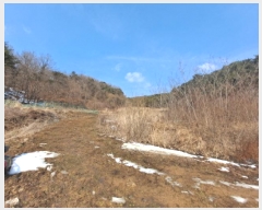  2025Ÿ421 泲  ҵ 257       ()