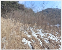  2025Ÿ421 泲  ҵ 257       ()