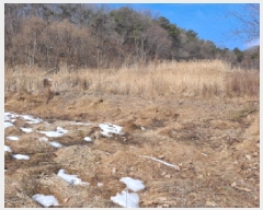  2025Ÿ421 泲  ҵ 257       ()