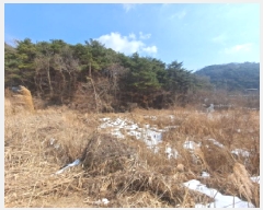  2025Ÿ421 泲  ҵ 257       ()