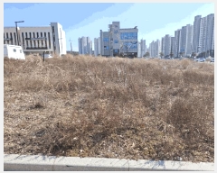  2025Ÿ476 泲  û 1275       ()