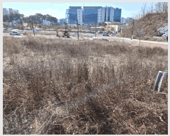  2025Ÿ476 泲  û 1275       ()