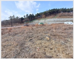  2025Ÿ476 泲  û 1275       ()