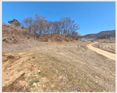  2025Ÿ��504  �����