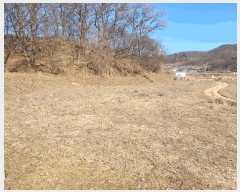  2025Ÿ��504  �����