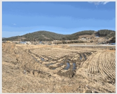  2025Ÿ��521 �泲 ����� ���굿 237-2       ����(��)���