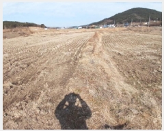  2025Ÿ��521 �泲 ����� ���굿 237-2       ����(��)���