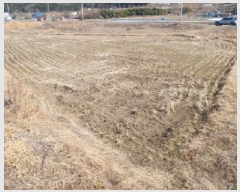  2025Ÿ��521 �泲 ����� ���굿 237-2       ����(��)���