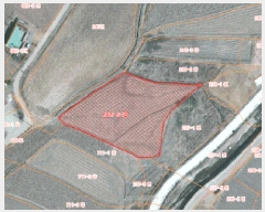  2025Ÿ��521 �泲 ����� ���굿 237-2       ����(��)���