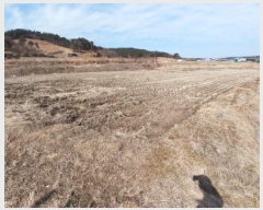  2025Ÿ��521 �泲 ����� ���굿 237-2       ����(��)���