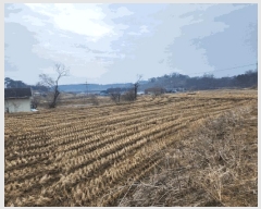  2025Ÿ536 泲  ۾ ︮ 146      ()