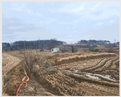  2025Ÿ536 泲  ۾ ︮ 146      ()