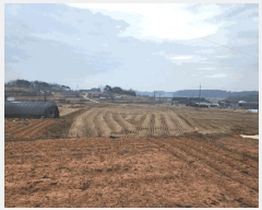  2025Ÿ536 泲  ۾ ︮ 146      ()