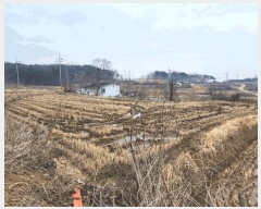  2025Ÿ536 泲  ۾ ︮ 146      ()