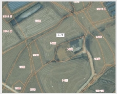  2025Ÿ536 泲  ۾ ︮ 146      ()