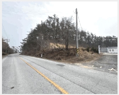  2025Ÿ545 泲 ¾ȱ ̿  874-8      ,â