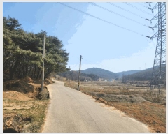  2025Ÿ��554 �泲 ������ �۾��� ��� 315      ����(��)���