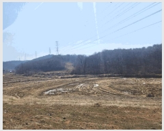  2025Ÿ��554 �泲 ������ �۾��� ��� 315      ����(��)���