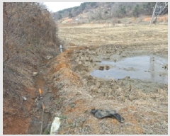  2025Ÿ��554 �泲 ������ �۾��� ��� 315      ����(��)���