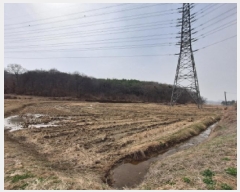  2025Ÿ��554 �泲 ������ �۾��� ��� 315      ����(��)���