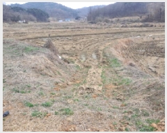  2025Ÿ��554 �泲 ������ �۾��� ��� 315      ����(��)���