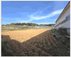  2025Ÿ��579  �����