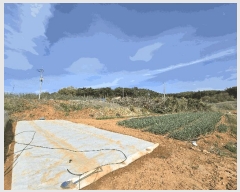  2025Ÿ��579  �����