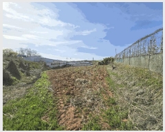  2025Ÿ��579  �����