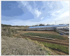  2025Ÿ��579  �����