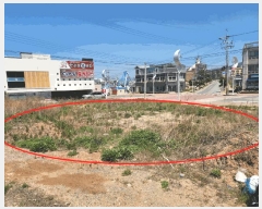  2025Ÿ��606  �������