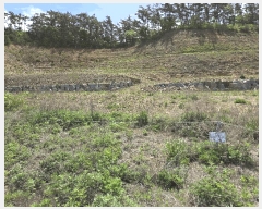  2025Ÿ��638  �Ӿ߰��