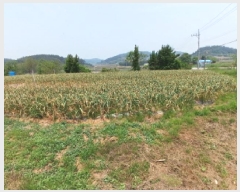  2025Ÿ��643 �泲 ����� ����� ������ 398-1      ����(����)���