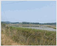  2025Ÿ��650 �泲 ����� ����� ȯ���� 694-45      ����(��)���