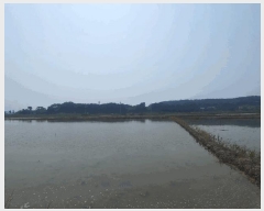  2025Ÿ��650 �泲 ����� ����� ȯ���� 694-45      ����(��)���