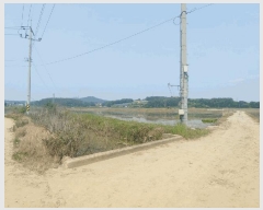  2025Ÿ��650 �泲 ����� ����� ȯ���� 694-45      ����(��)���