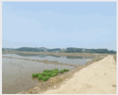  2025Ÿ��650 �泲 ����� ����� ȯ���� 694-45      ����(��)���