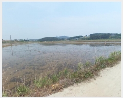  2025Ÿ��650 �泲 ����� ����� ȯ���� 694-45      ����(��)���