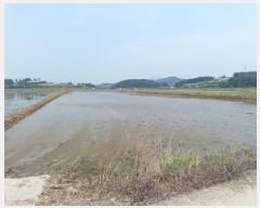  2025Ÿ��650 �泲 ����� ����� ȯ���� 694-45      ����(��)���