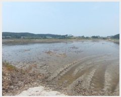  2025Ÿ��650 �泲 ����� ����� ȯ���� 694-45      ����(��)���