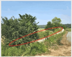  2025Ÿ��661  �������