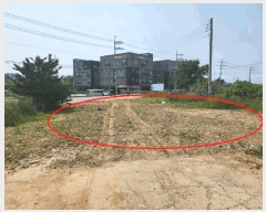  2025Ÿ��661  �������