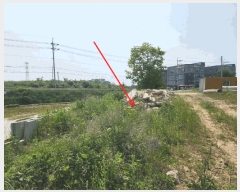  2025Ÿ��661  �������