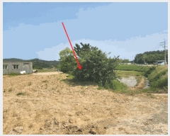  2025Ÿ��661  �������