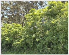  2025Ÿ��673 �泲 �¾ȱ� �ҿ��� ���׸� 1324-3      ����(�Ӿ�)���