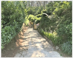  2025Ÿ��673 �泲 �¾ȱ� �ҿ��� ���׸� 1324-3      ����(�Ӿ�)���