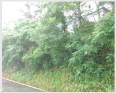  2025Ÿ��673 �泲 �¾ȱ� �ҿ��� ���׸� 1324-3      ����(�Ӿ�)���